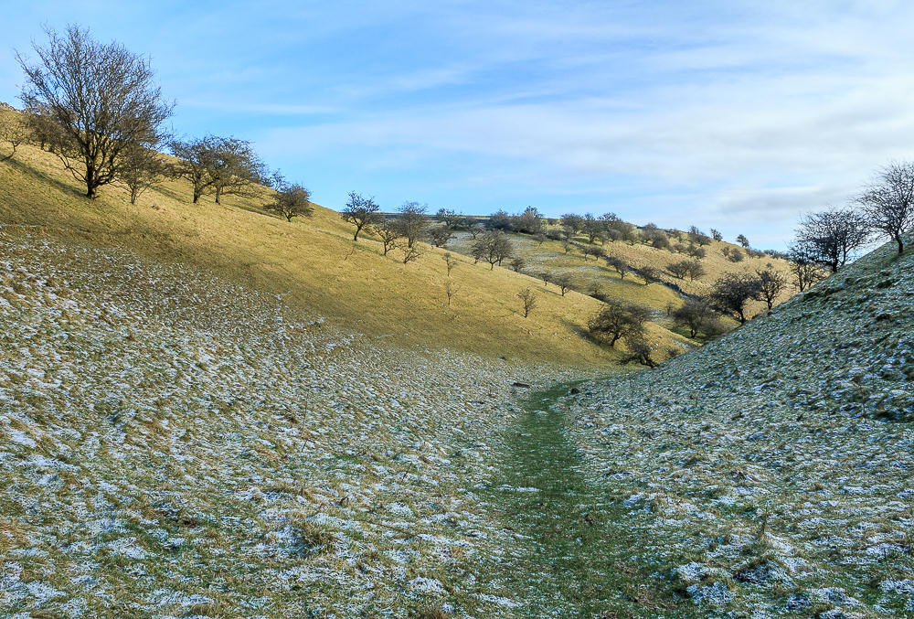 High Dale High Dale